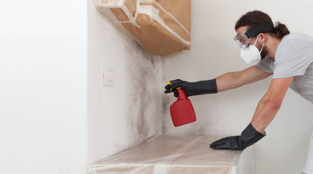 Professional Crawl Space Mold Remediation technician working in Sudbury, MA